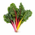Swiss Chard