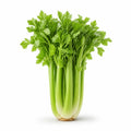 Celery