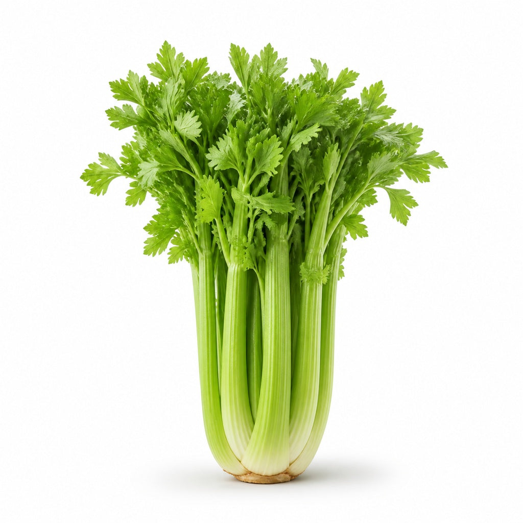 Celery