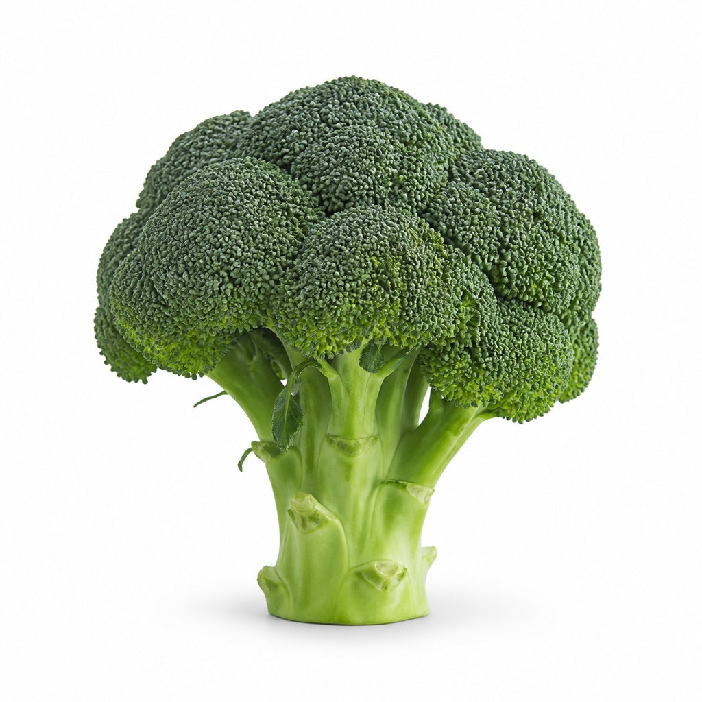 Broccoli