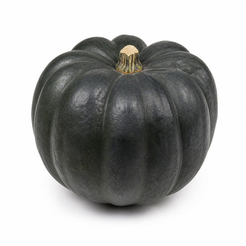 Black Squash