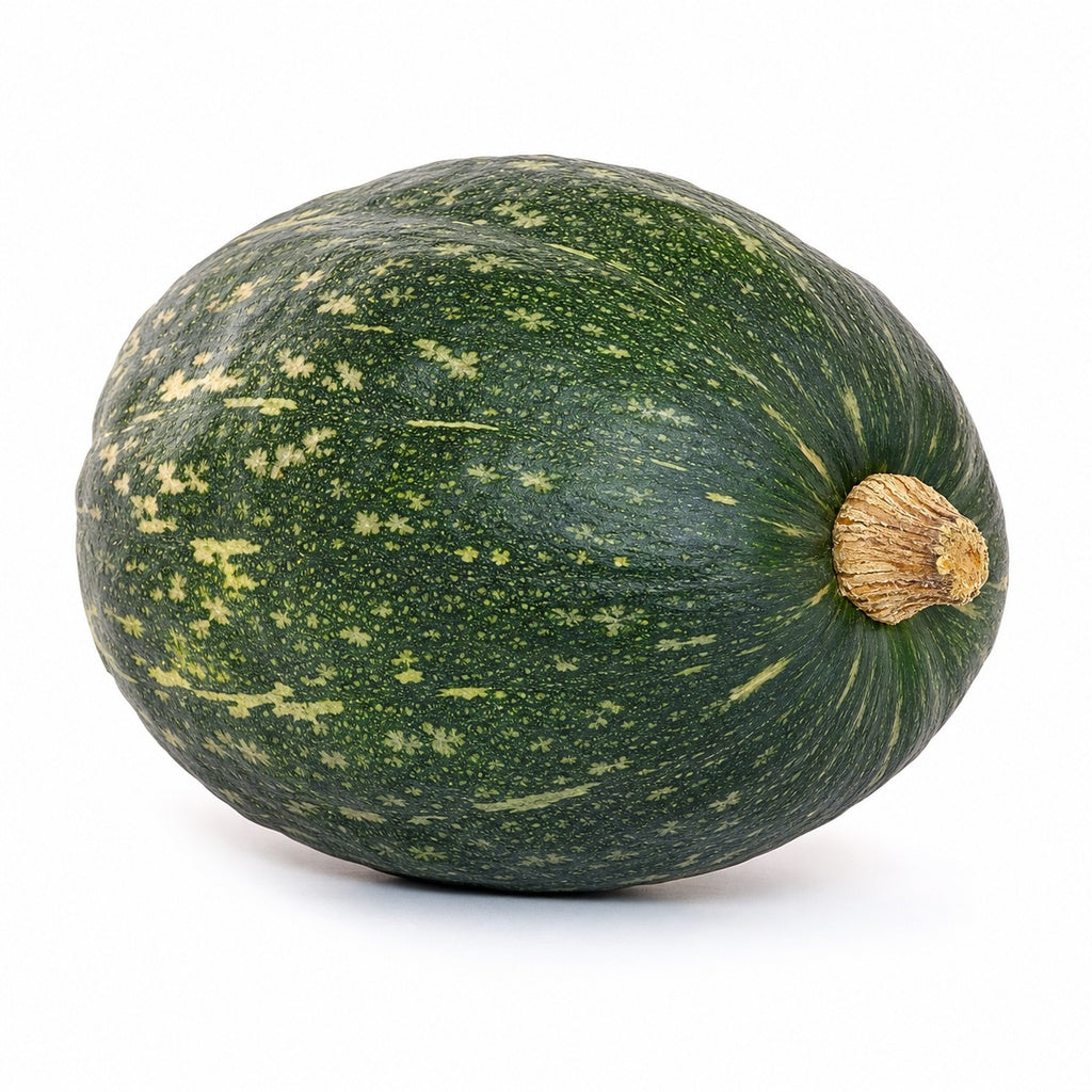Castilla Squash