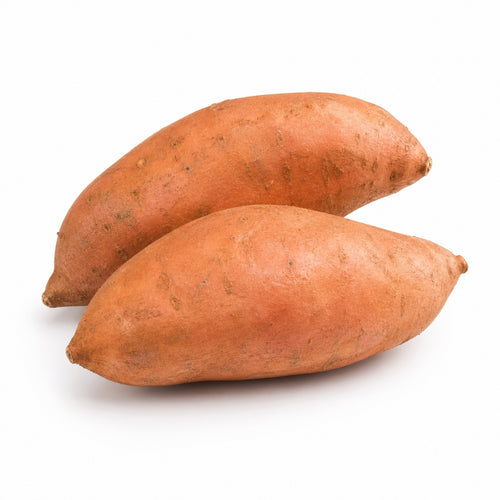 American Sweet Potato