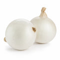 White Onion