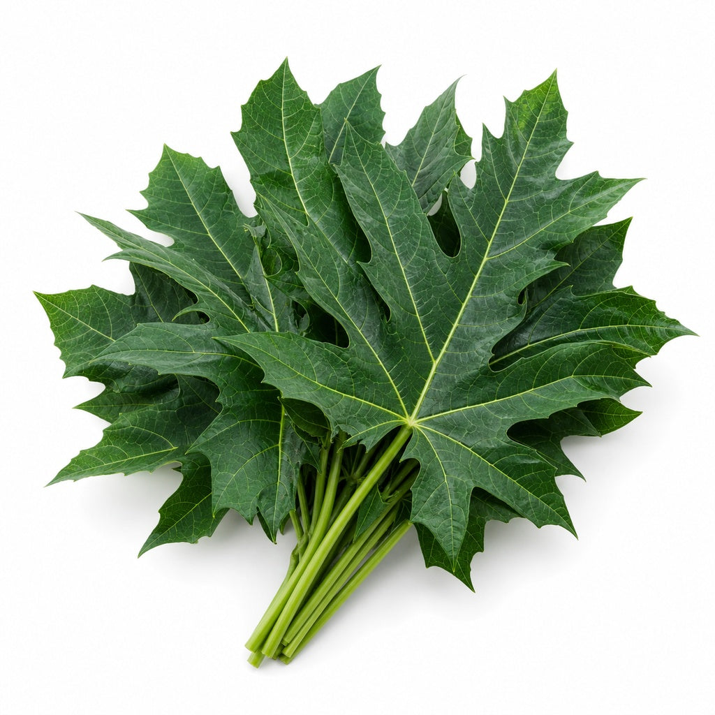 Chaya Leaves