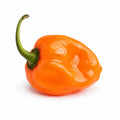 Habanero Pepper