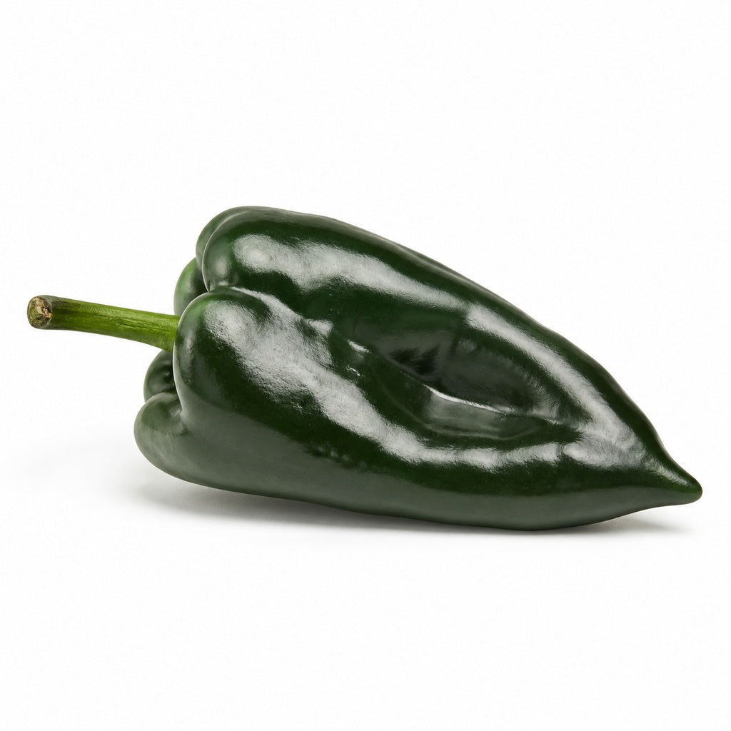 Poblano Pepper