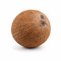 Dry Coconut