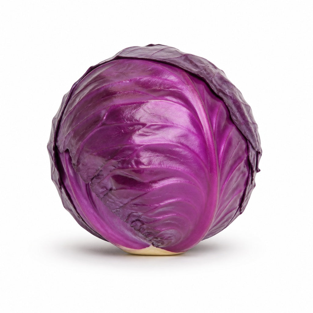 Purple Cabbage