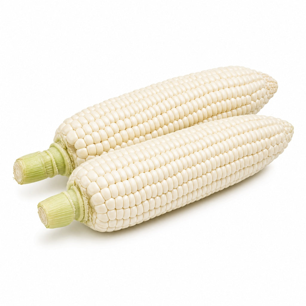White Corn
