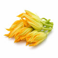 Squash Blossoms