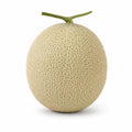 Cantaloupe