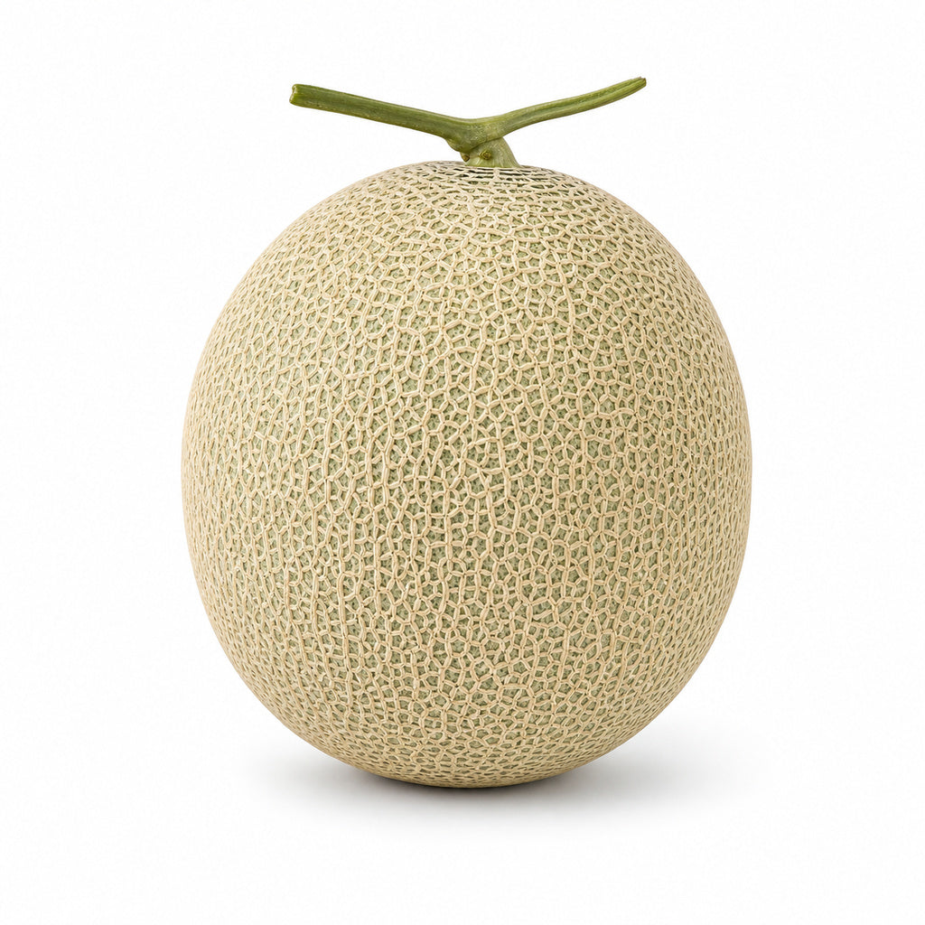 Cantaloupe