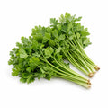 Chinese Parsley