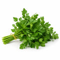 Flat-Leaf Parsley