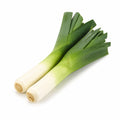 Leek