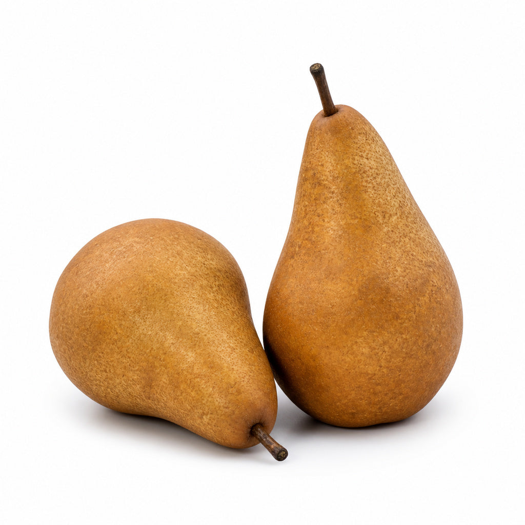 Bosc Pear