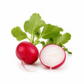 Radish