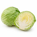 Green Cabbage