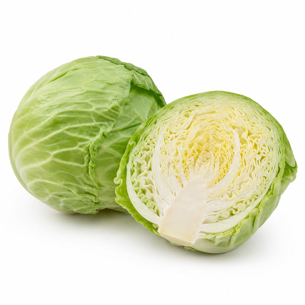 Green Cabbage