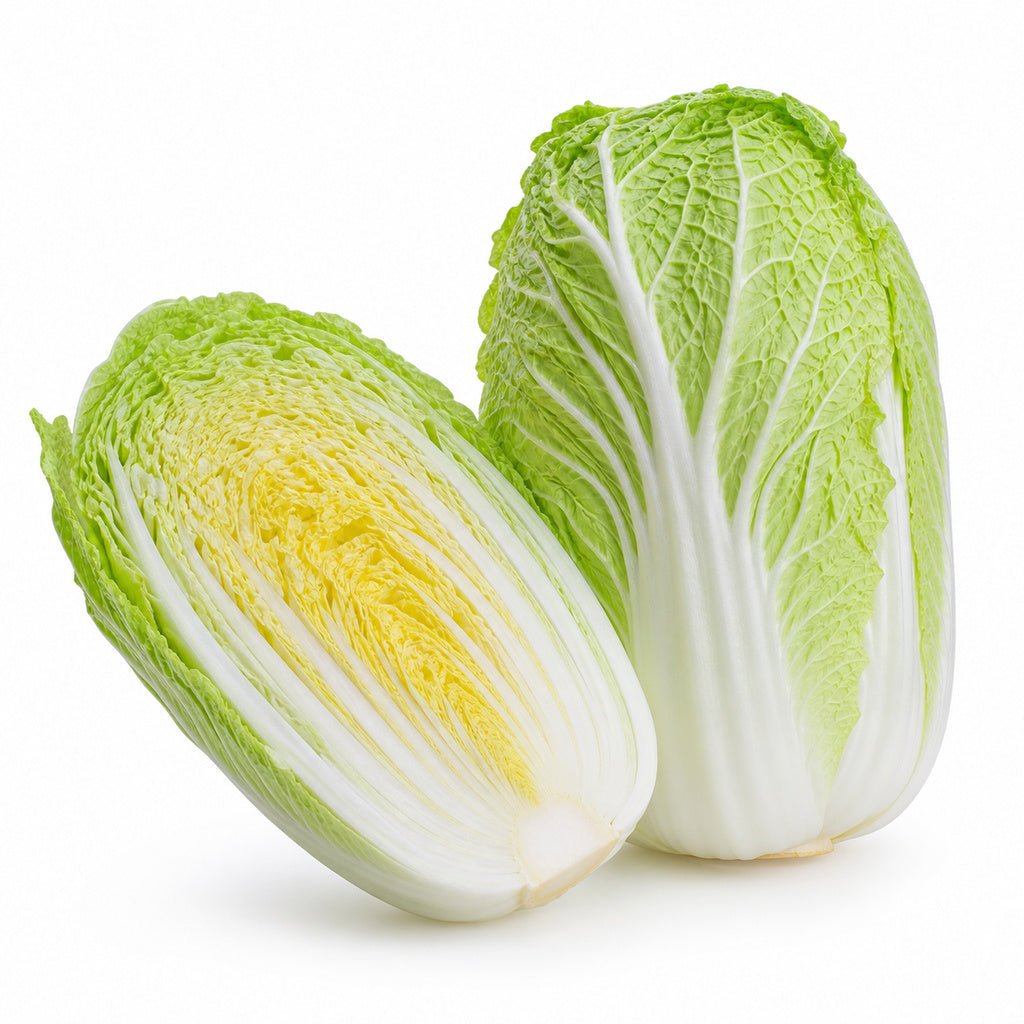 Napa Cabbage