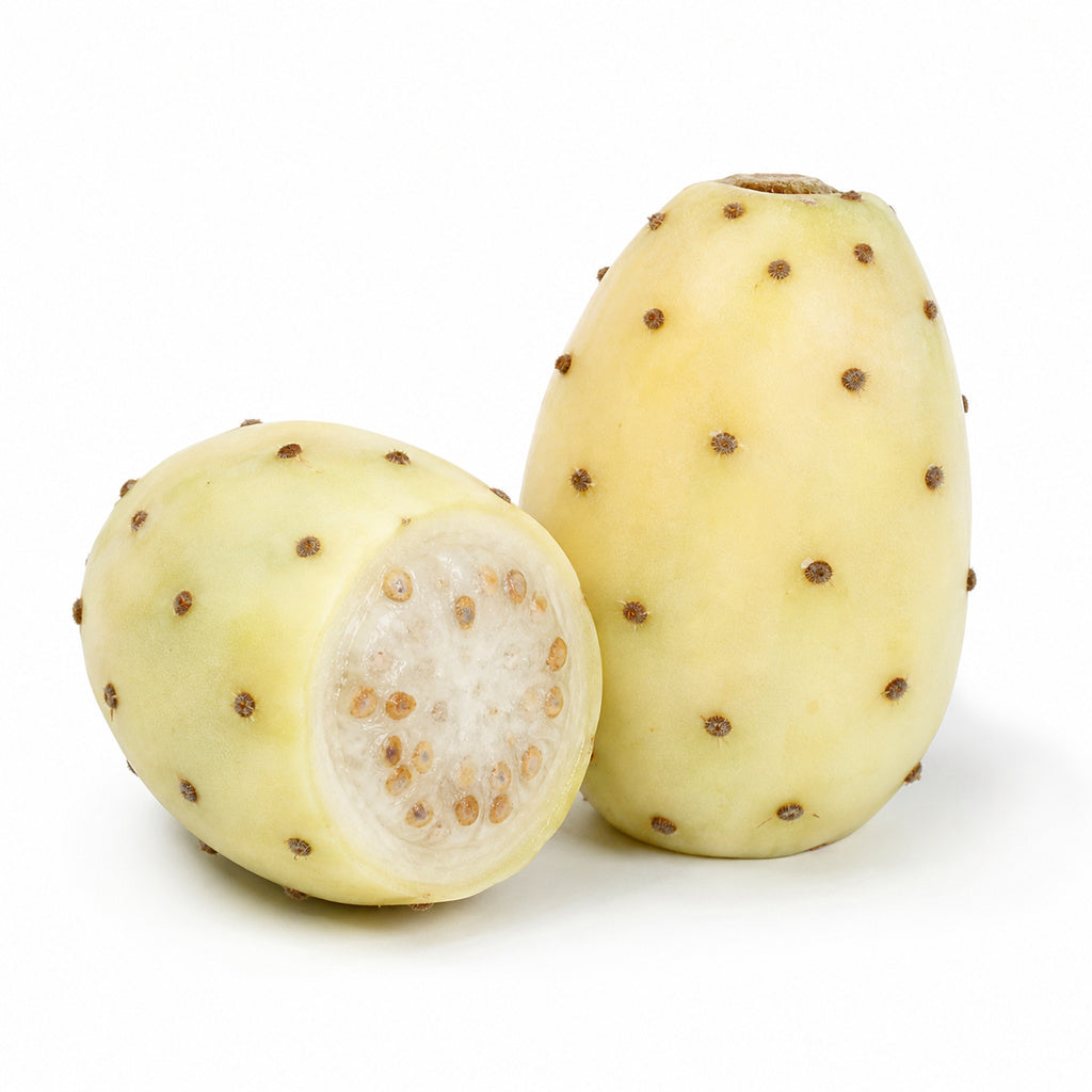 White Prickly Pear
