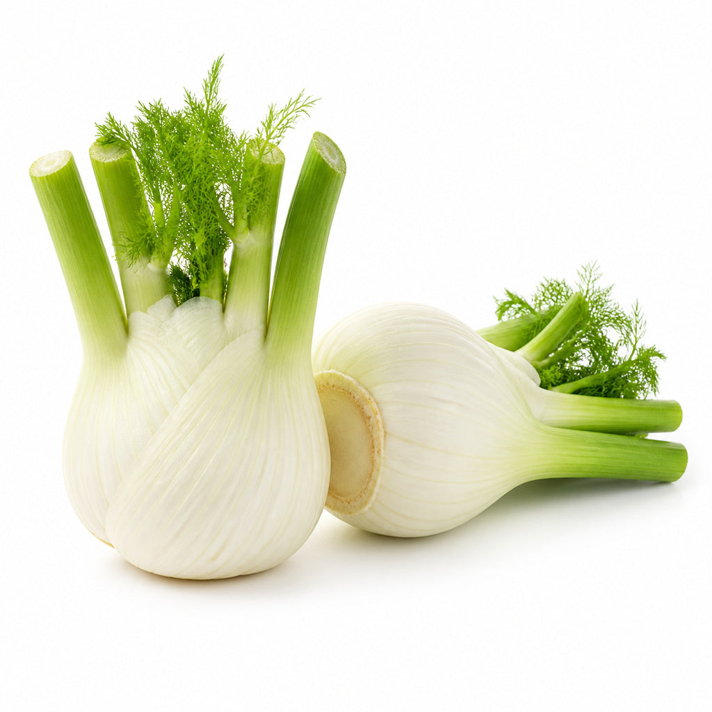 Fennel