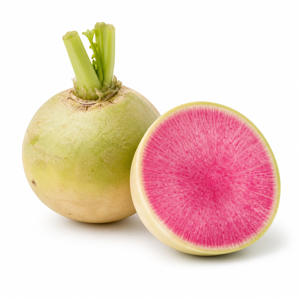 Watermelon Radish