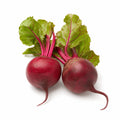 Candy Baby Beets