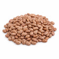 Pinto Beans