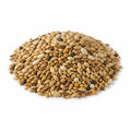 Mixed Canary Seed