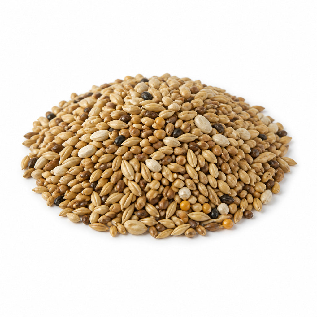 Mixed Canary Seed