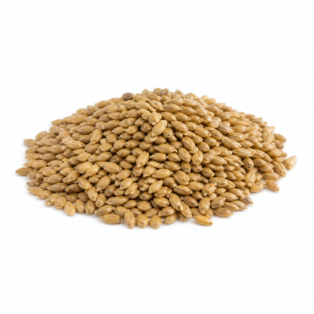 Natural Canary Seed