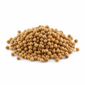 Coriander Seeds