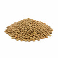 Lentils