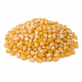 Popcorn Kernels