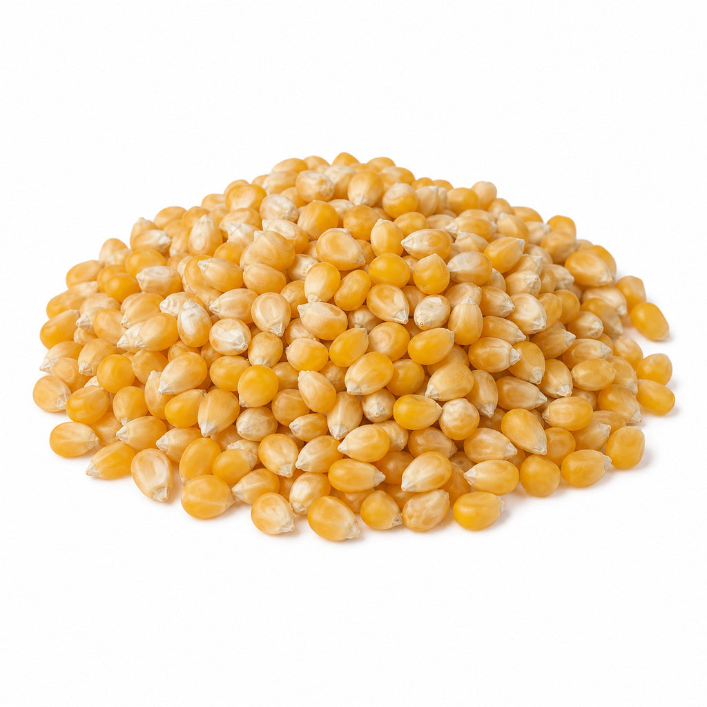 Popcorn Kernels