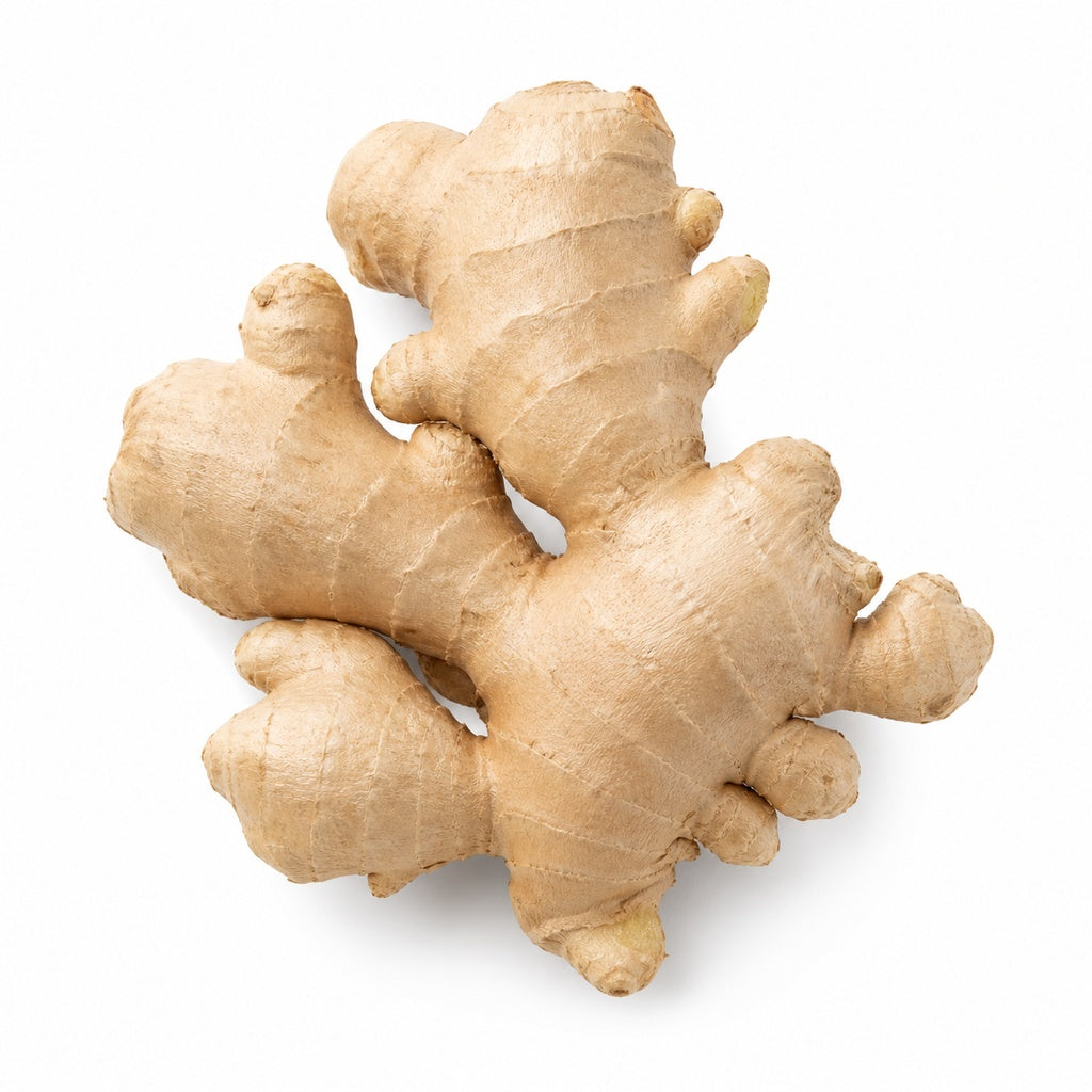 Ginger
