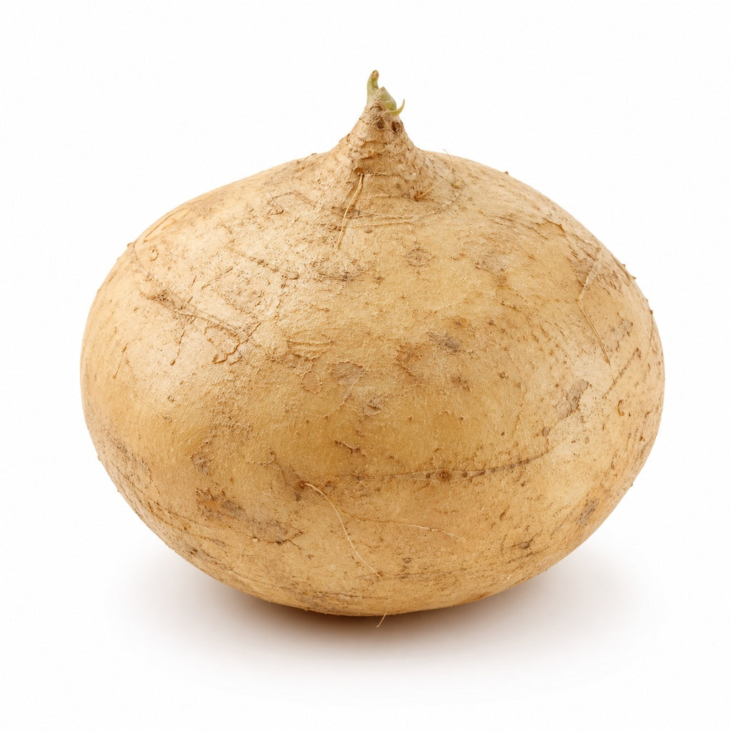 Jicama