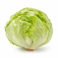 Round Lettuce
