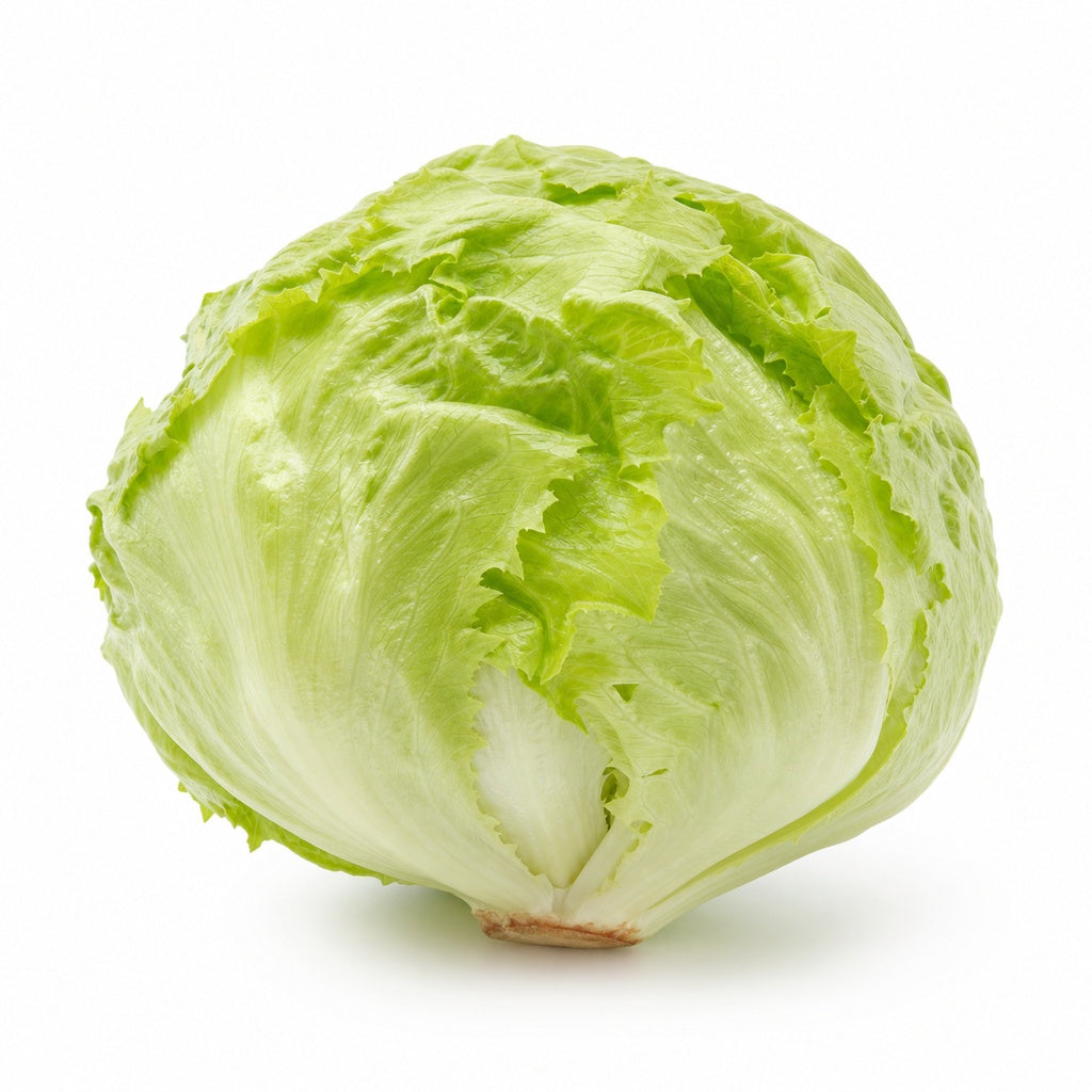 Round Lettuce