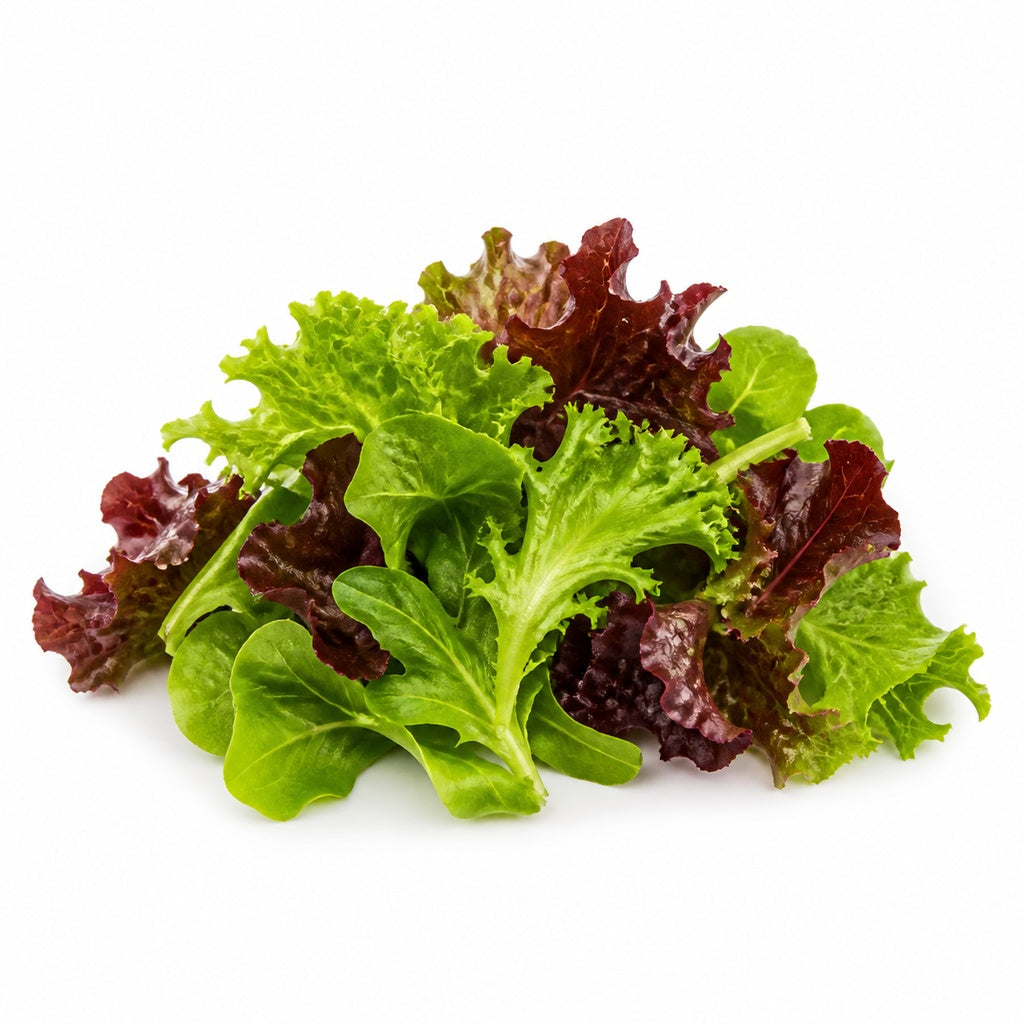 Mixed Lettuce