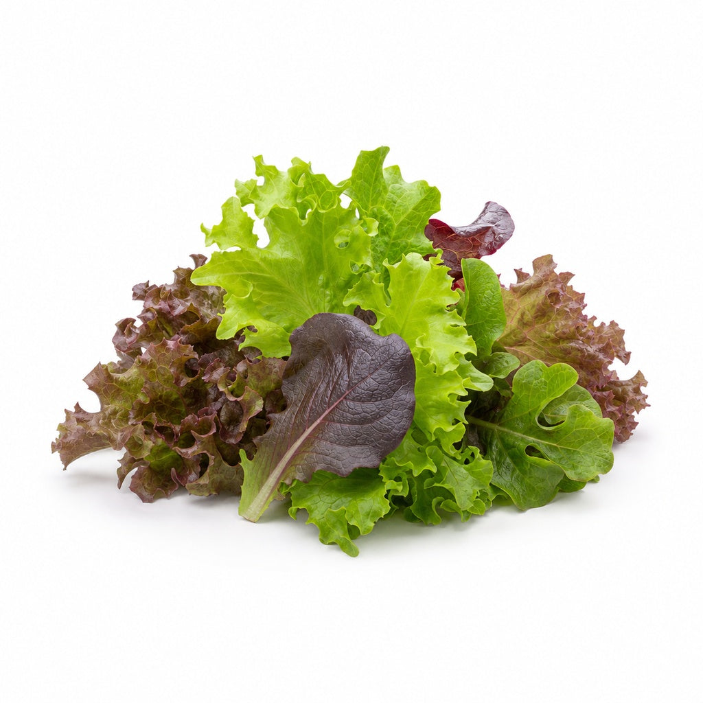Regional Mixed Lettuce