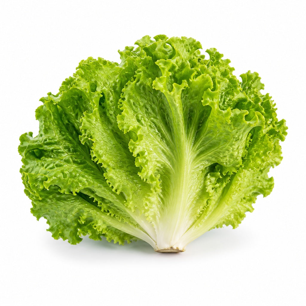 Green Lettuce