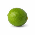 Lime #300 Plastic