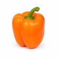 Orange Bell Pepper