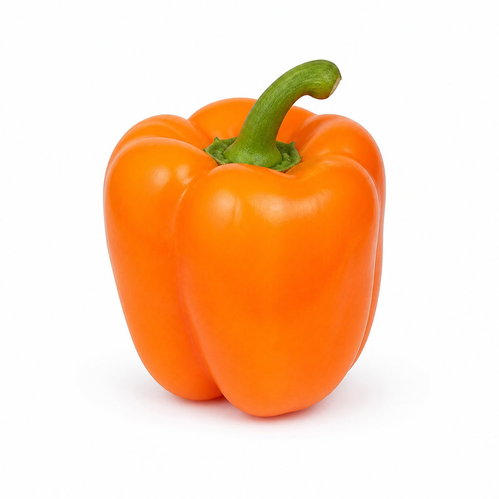 Orange Bell Pepper