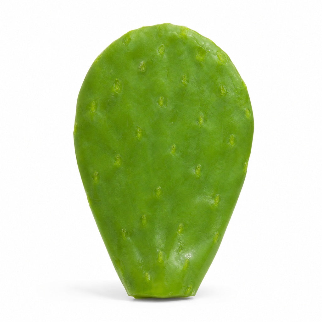 Peeled Cactus Paddle